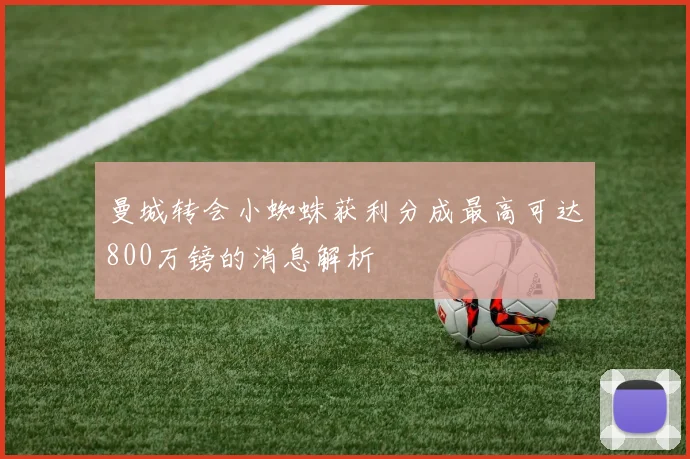 曼城转会小蜘蛛获利分成最高可达800万镑的消息解析