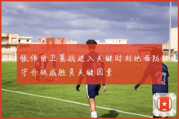 张伟丽卫冕战进入关键时刻地面防守升级成胜负关键因素