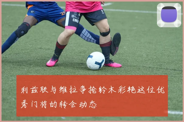 利兹联与维拉争抢铃木彩艳这位优秀门将的转会动态